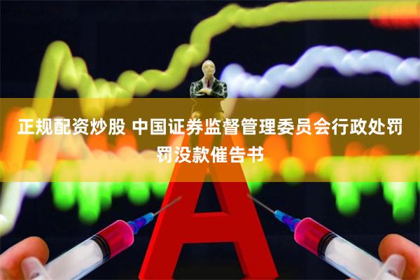 正规配资炒股 中国证券监督管理委员会行政处罚罚没款催告书