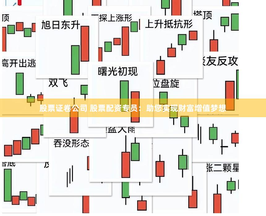 股票证卷公司 股票配资专员：助您实现财富增值梦想