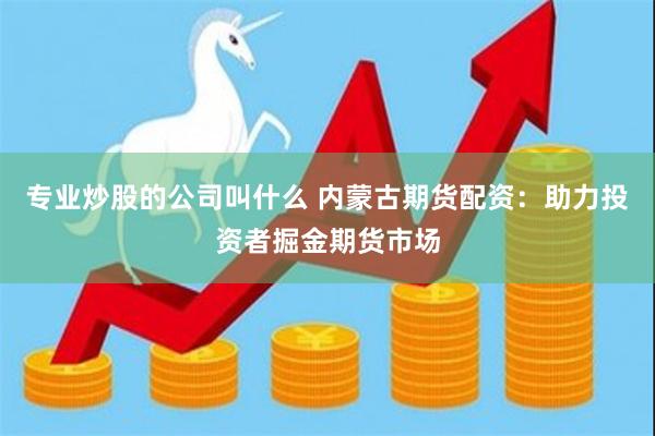 专业炒股的公司叫什么 内蒙古期货配资：助力投资者掘金期货市场