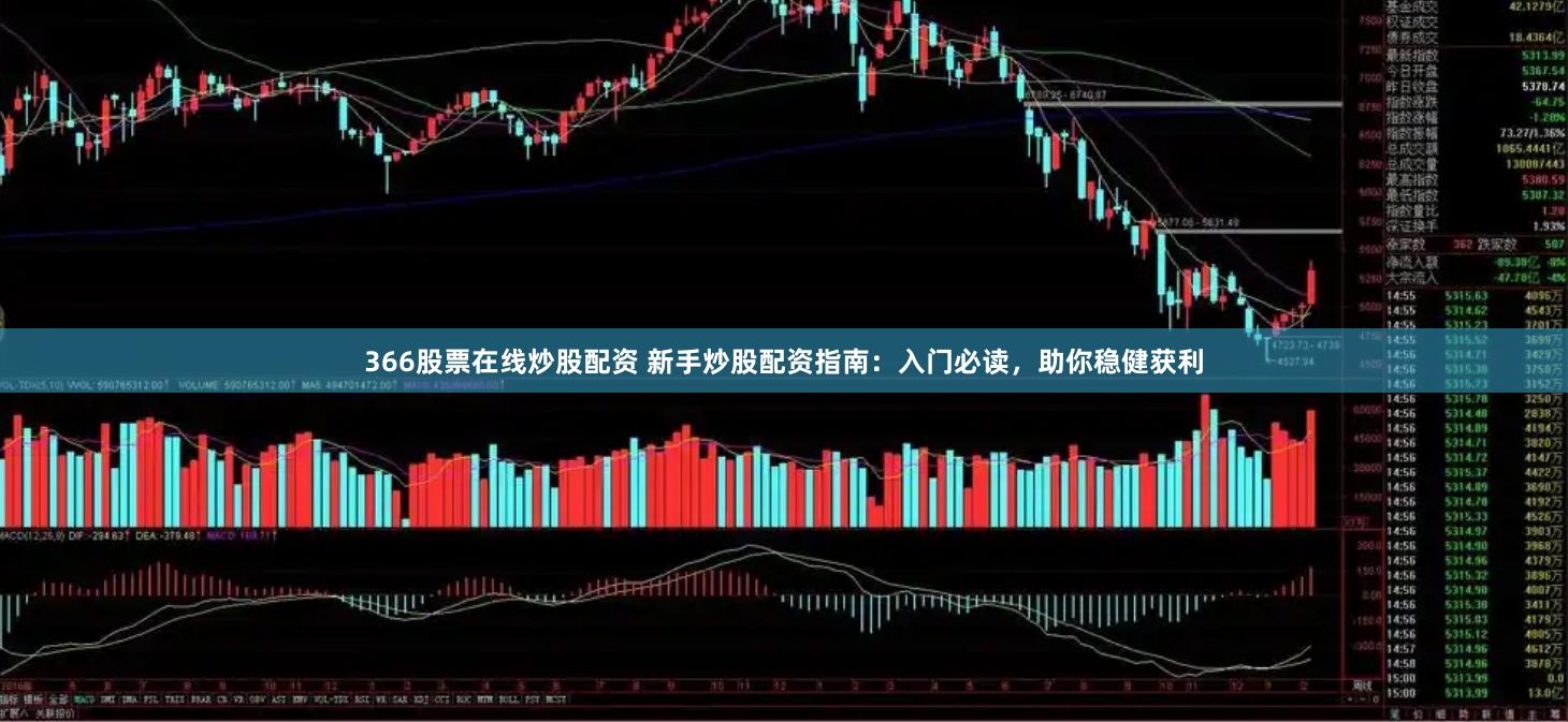 366股票在线炒股配资 新手炒股配资指南:入门必读,助你稳健获利